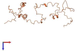 AlphaFold protein structure predicition of Human Recombinant KRTAP4-8 Protein, UniprotID Q9BYQ9