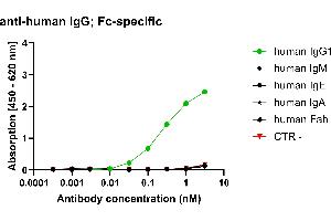 Mouse anti-Human IgG (Fc Region) antibody (HRP)