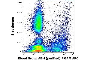 Flow cytometry surface staining pattern of human peripheral whole blood from group A donor stained using anti-blood group ABH (HE-10) purified antibody (concentration in sample 4 μg/mL, GAM APC). (Blood Group ABH anticorps)