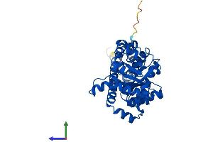AlphaFold protein structure predicition of Human Recombinant TALDO1 Protein, UniprotID P37837