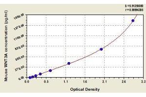 Typical standard curve (WNT3A Kit ELISA)