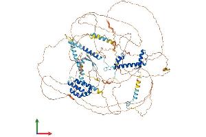 AlphaFold protein structure predicition of Human Recombinant TAF4 Protein, UniprotID O00268