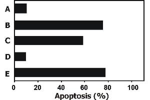Induction of apoptosis Apoptosis induced in JURKAT human T cell leukemia cell line by soluble recombinant human TRAIL is completely blocked by anti-human TRAIL (2E5).