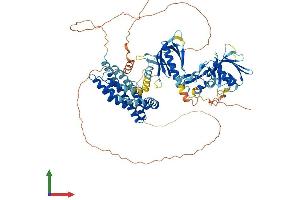 AlphaFold protein structure predicition of Human Recombinant FGD4 Protein, UniprotID Q96M96