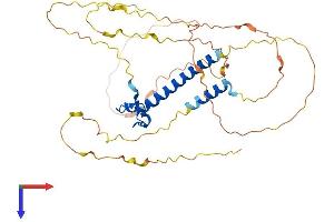 AlphaFold protein structure predicition of Mouse Recombinant Dmrtc2 Protein, UniprotID Q8CGW9