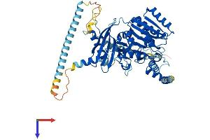 AlphaFold protein structure predicition of Mouse Recombinant Csgalnact2 Protein, UniprotID Q8C1F4