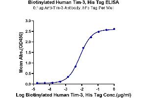 Immobilized Anti-Tim-3 Antibody, hFc Tag at 1 μg/mL (100 μL/well) on the plate.