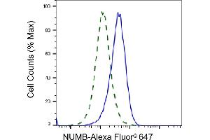 Validation of NUMB knockdown using flow cytometry. (Recombinant NUMB anticorps)