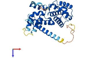 AlphaFold protein structure predicition of Mouse Recombinant Ccnd2 Protein, UniprotID P30280