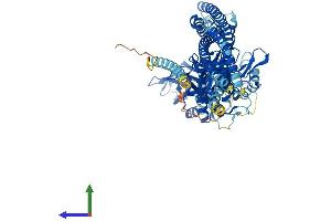 AlphaFold protein structure predicition of Mouse Recombinant Tbk1 Protein, UniprotID Q9WUN2
