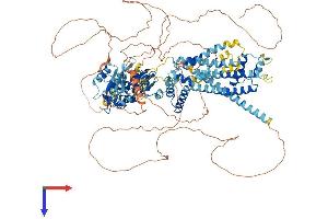 AlphaFold protein structure predicition of Human Recombinant KCNH8 Protein, UniprotID Q96L42