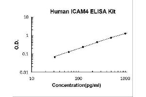 Intercellular Adhesion Molecule 4 (ICAM4) ELISA Kit