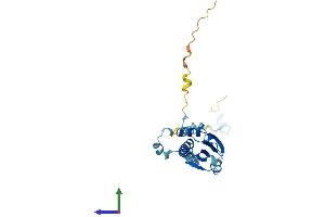 AlphaFold protein structure predicition of Mouse Recombinant Pdcl3 Protein, UniprotID Q8BVF2