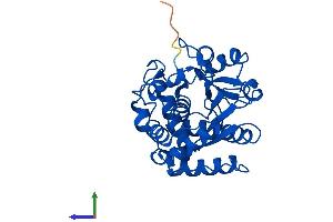 AlphaFold protein structure predicition of Human Recombinant SULT1A3 Protein, UniprotID P0DMM9