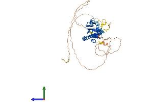 AlphaFold protein structure predicition of Human Recombinant TSPYL5 Protein, UniprotID Q86VY4