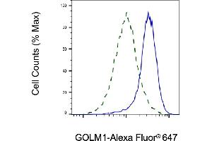 Validation of GOLM1 knockdown using flow cytometry. (GOLM1 anticorps)
