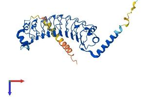 AlphaFold protein structure predicition of Mouse Recombinant Lrrc23 Protein, UniprotID O35125