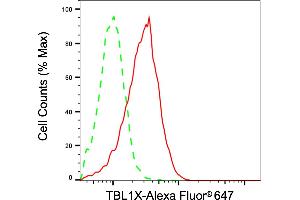 anti-Transducin (Beta)-Like 1X-Linked (TBL1X) antibody