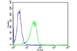 Flow cytometric analysis of Hela cells using (Mouse) Shh Antibody (C-term)(green, Cat(ABIN6242829 and ABIN6577864)) compared to an isotype control of rabbit IgG(blue).