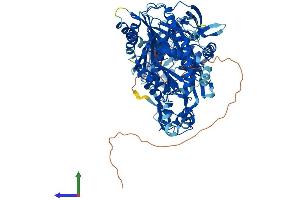 AlphaFold protein structure predicition of Human Recombinant PIWIL4 Protein, UniprotID Q7Z3Z4