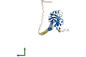 AlphaFold protein structure predicition of Human Recombinant TSPY2 Protein, UniprotID A6NKD2