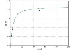 A typical standard curve (Hemoglobin Subunit beta Kit ELISA)