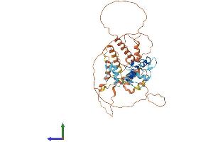 AlphaFold protein structure predicition of Human Recombinant ZSCAN4 Protein, UniprotID Q8NAM6