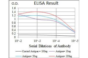 Red: Control Antigen (100ng) ; Purple: Antigen (10ng) ; Green: Antigen (50ng) ; Blue: Antigen (100ng). (HAS3 anticorps)