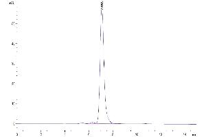 The purity of Human Ephrin B2 is greater than 95 % as determined by SEC-HPLC.