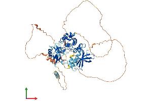 AlphaFold protein structure predicition of Human Recombinant MAP3K2 Protein, UniprotID Q9Y2U5