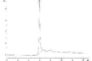 The purity of Human LAG3 is greater than 95 % as determined by SEC-HPLC.