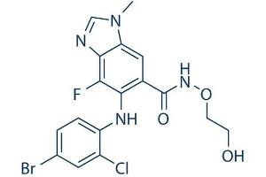 Chemical structure of AZD6244 , a ERK kinase inhibitor.