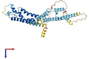 AlphaFold protein structure predicition of Human Recombinant CALHM1 Protein, UniprotID Q8IU99