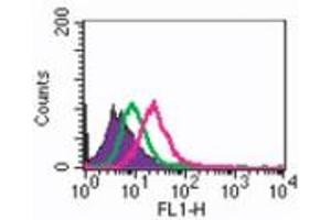 RANK Flow Cytometry Flow Cytometry of Mouse Anti-RANK antibody. (TNFRSF11A anticorps)
