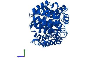 AlphaFold protein structure predicition of Human Recombinant ADPRH Protein, UniprotID P54922