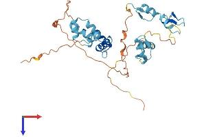 AlphaFold protein structure predicition of Human Recombinant ZNF444 Protein, UniprotID Q8N0Y2