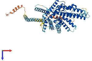 AlphaFold protein structure predicition of Mouse Recombinant Soat1 Protein, UniprotID Q61263