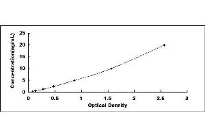 Typical standard curve (LTA4H Kit ELISA)