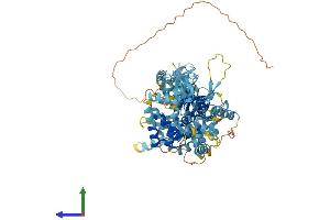 AlphaFold protein structure predicition of Mouse Recombinant Mcm8 Protein, UniprotID Q9CWV1