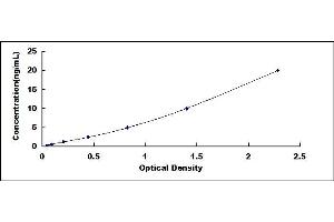 Typical standard curve (HSP70 1A Kit ELISA)