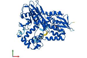 AlphaFold protein structure predicition of Mouse Recombinant Ppox Protein, UniprotID P51175