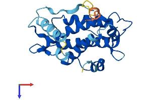 AlphaFold protein structure predicition of Mouse Recombinant Mob3a Protein, UniprotID Q8BSU7