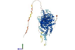 AlphaFold protein structure predicition of Mouse Recombinant Strip1 Protein, UniprotID Q8C079