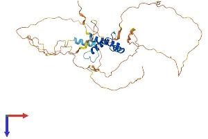 AlphaFold protein structure predicition of Human Recombinant SSBP3 Protein, UniprotID Q9BWW4