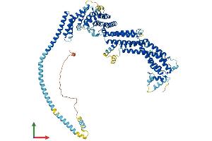 AlphaFold protein structure predicition of Mouse Recombinant Rint1 Protein, UniprotID Q8BZ36