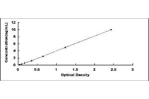 Regucalcin (RGN) ELISA Kit
