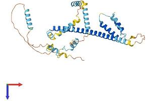 AlphaFold protein structure predicition of Mouse Recombinant Fez2 Protein, UniprotID Q6TYB5