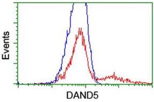 HEK293T cells transfected with either RC221703 overexpress plasmid (Red) or empty vector control plasmid (Blue) were immunostained by anti-DAND5 antibody (ABIN2455031), and then analyzed by flow cytometry. (DAND5 anticorps  (AA 23-189))
