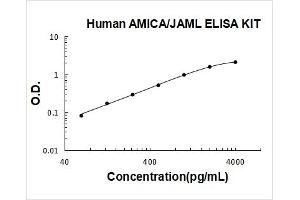 Adhesion Molecule, Interacts with CXADR Antigen 1 (AMICA1) ELISA Kit