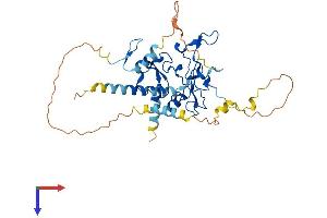 AlphaFold protein structure predicition of Human Recombinant DPF3 Protein, UniprotID Q92784